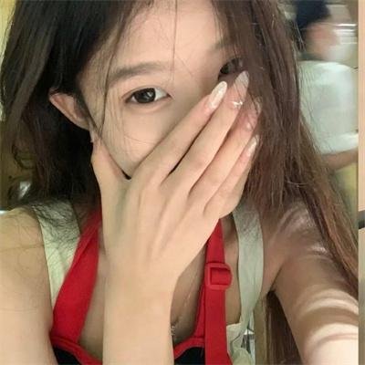 书记日记