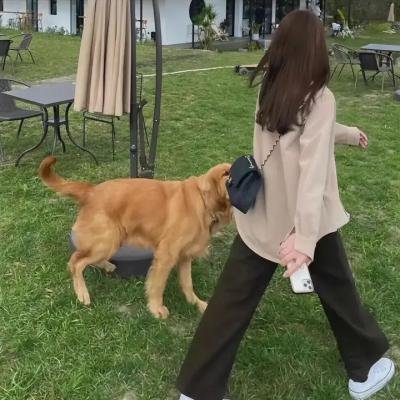 命运‧晚餐